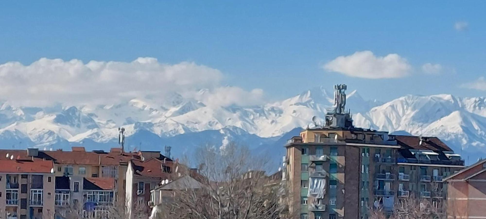 Tania House, Metro Italia 61 *